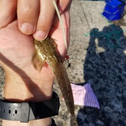 ちょい投げキス