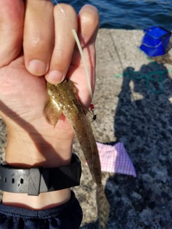 ちょい投げキス