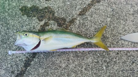 雨上がり強風！