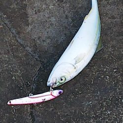 また逢う日まで～