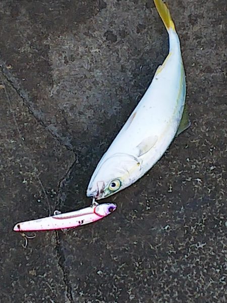 また逢う日まで～