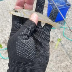 ミニミニだらけ！