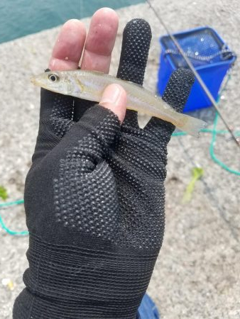 ミニミニだらけ！