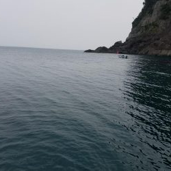 今年初のアコウが釣れました