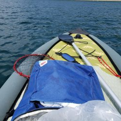 SUPフィッシング