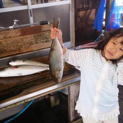 海洋釣堀で大ヒラマサ狙うも、ファミリーフィッシング