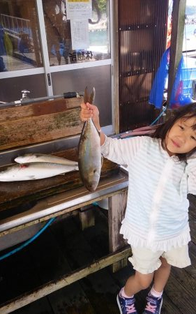 海洋釣堀で大ヒラマサ狙うも、ファミリーフィ…