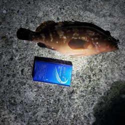 リベンジ達成！