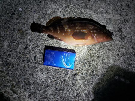 リベンジ達成！