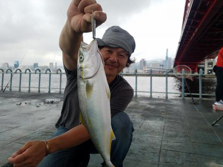 オリジナルルアーテストでハマチ！ツバス　セ…