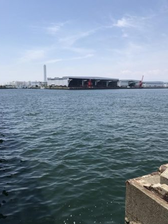 ツバス湧いてます