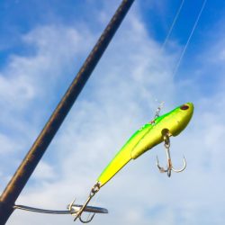 モーニングサービス