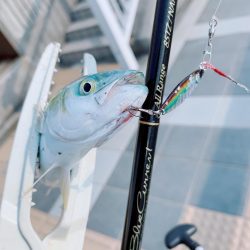 スーパーライトショア