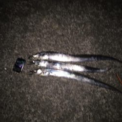 いい日は続かない