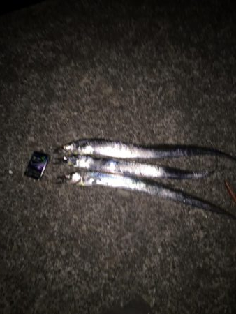 いい日は続かない