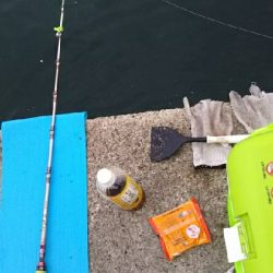 久々のモンスターハンター