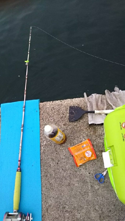 久々のモンスターハンター