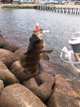 初めての荒津で