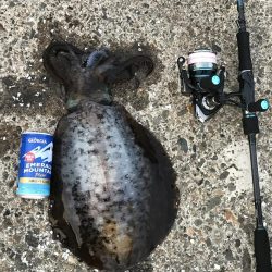 約1年半ぶりの投稿