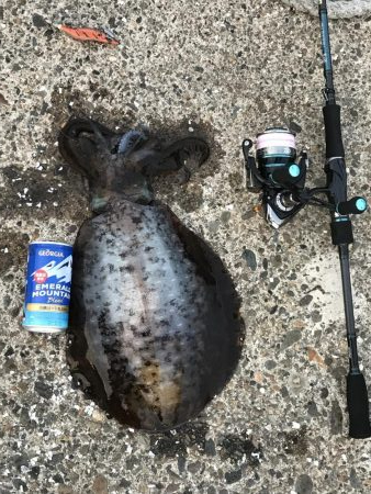 約1年半ぶりの投稿