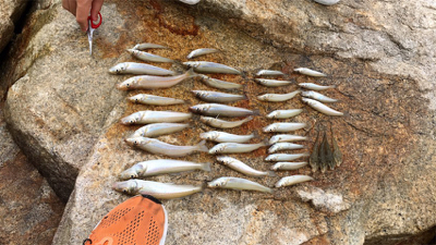 はじめてのキス