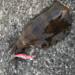 なんとか一杯。