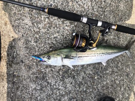 ショアジギ ゲーム