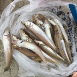 梅雨入り前のキス