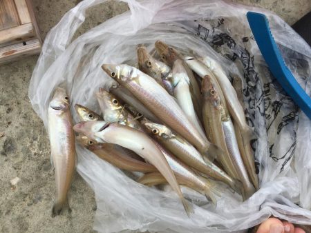 梅雨入り前のキス