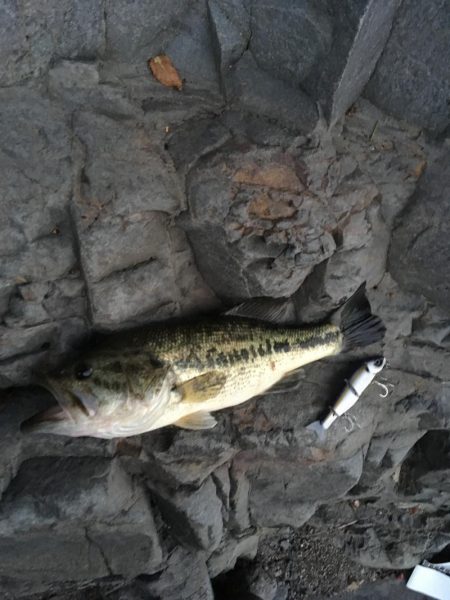 安物S字系で夕マヅメ