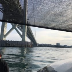 お食い初め釣行