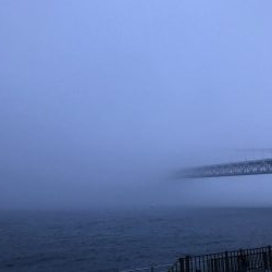 カラバリでモジャ公