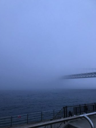 カラバリでモジャ公