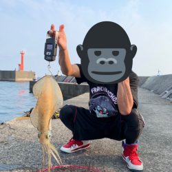 キロアップを求めて。