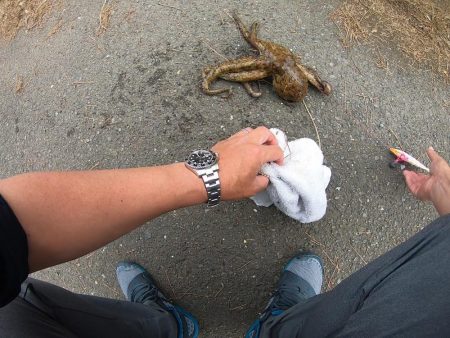 オクトパッシングで２杯