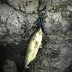 海用ルアーで夕マヅメ