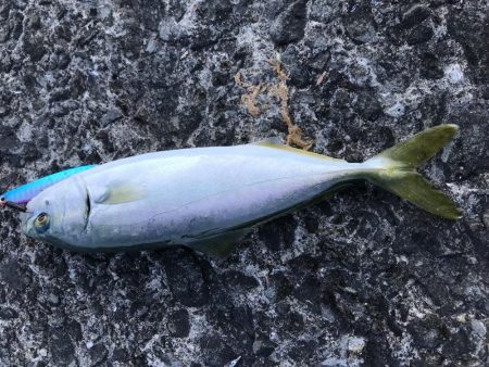 ジグサビキ=爆釣