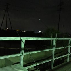 ウナギ今期2回目