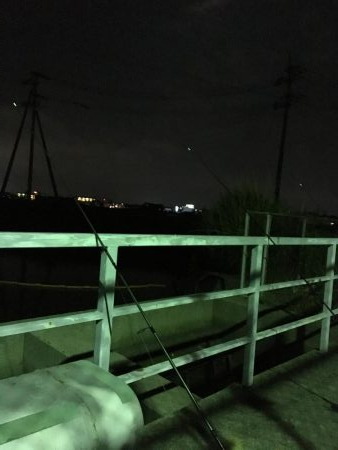 ウナギ今期2回目