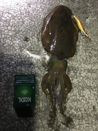 イェーイ！！！前田！！見てるぅ〜！？