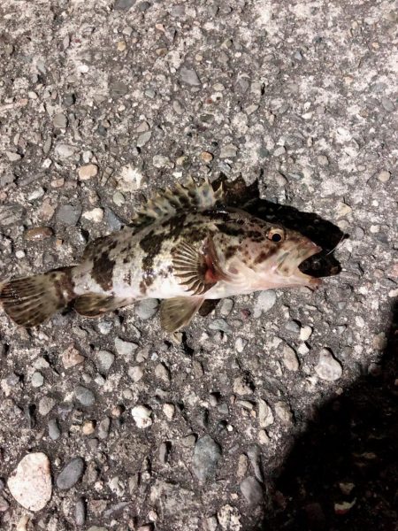 あたりはあるが