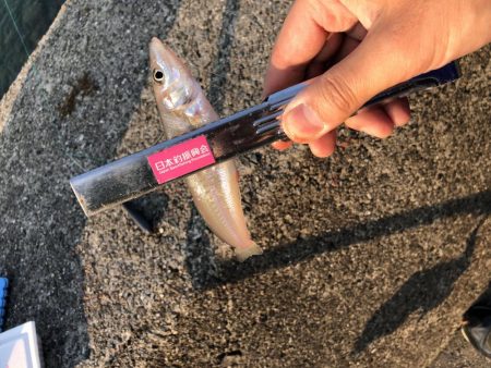 ようやく釣れました。