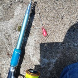 キス不調・・・？