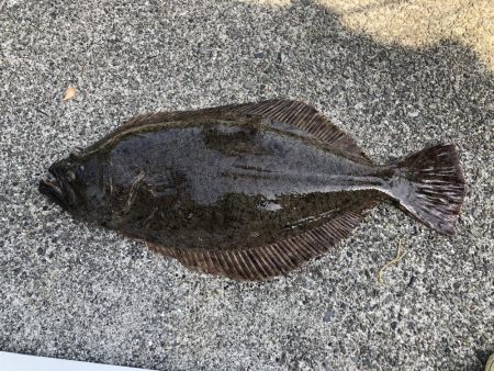 パワーブレードの威力！！