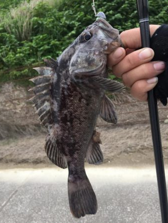夕暮れ前のロック釣行！