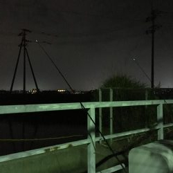 ウナギ今期3回目