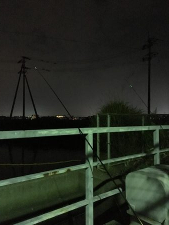 ウナギ今期3回目