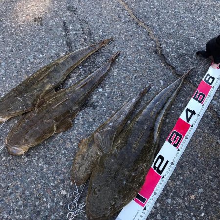 波ちょい高、渋め