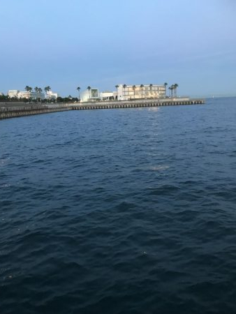 令和初のサビキ、豆アジ