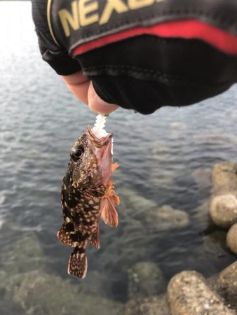 やっぱりアカンかったー